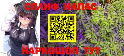 гидропоника Нальчик