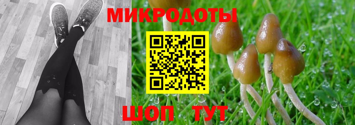 Псилоцибиновые грибы ЛСД  Вход с VPN  Чапаевск  Псилоцибиновые грибы мицелий 
